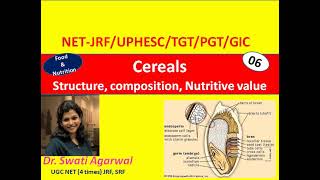 Cereals Structure composition Nutritive value Food and Nutrition Home Science NET JRF TGT PGT [upl. by Nuy]