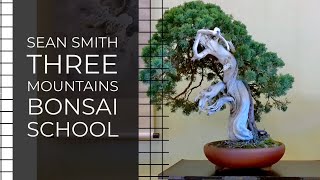 Sean Smith interview at Three Mountains Bonsai School [upl. by Irfan385]