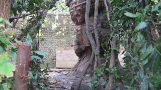 Reflections Nursery  Fostering creativity in a Reggioinspired forest school [upl. by Arivle]