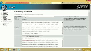 Autogestión de Certificado Digital para AFIP WSASS PyAfipWs [upl. by Xilef]