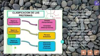 Proteinas y Acidos nucléicos [upl. by Eivla]