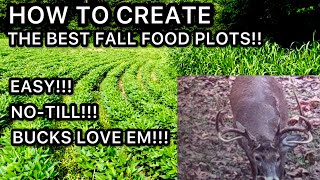 HOW TO HAVE THE BEST FALL FOOD PLOTS IN THE NEIGHBORHOOD [upl. by Nameerf]