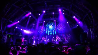 THE ALLMAN BETTS BAND Live at Fuji Rock Fes24 Naeba Ski Resort Yuzawacho Niigata Pref Japan [upl. by Randolf]