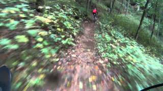 MTBTrailtour in der Pfalz [upl. by Torbart866]