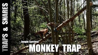 The Monkey Trap Jungle Survival [upl. by Ihculo]