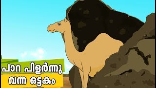 പാറ പിളർന്നു വന്ന ഒട്ടകം Quran Stories Malayalam  Prophet Stories Malayalam  Use of education [upl. by Norek]