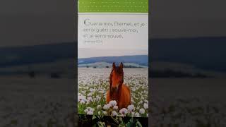 Libre de nos chaînes ✝️👑🕊🔥❤️🌹🎵🎶 cover instrumental Jacques Thiboutot [upl. by Dirraj748]