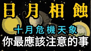 💥風險規避預測：所有12星座的運勢，必看的注意事項占卜！ 這些事情你必須提前知道！ 太陽星座上升星座月亮星座全預測 [upl. by Novets820]