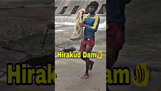 Hirakud Dam Re fishing video hirakuddam fishing shortvideos shorts short viralvideo viral [upl. by Ibrad418]