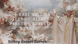 How Many Will Be Saved Bishop Barrons Sunday Sermon [upl. by Ahtan714]