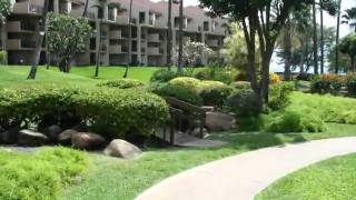 Kamaole Sands Condo Walk to Beach [upl. by Atinihc]