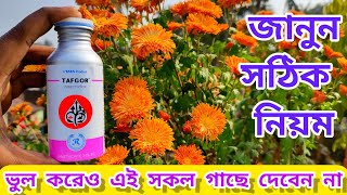 Tafgor pesticide এর সঠিক ডোজ ব্যবহার পদ্ধতি ও বিধিনিষেধ  how to use Tata Tafgor [upl. by Edita]