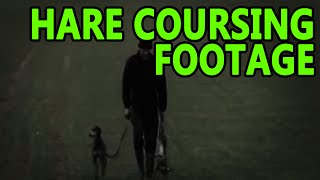 Hare Coursing Footage  Working Lurchers [upl. by Tammany]