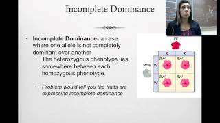 Incomplete Dominance Codominance and Polygenic Genetics [upl. by Chamberlin]