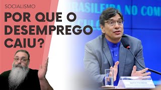 PEDIDOS de SEGURODESEMPREGO estão em ALTA como PODE o DESEMPREGO TER CAÍDO EXISTE uma EXPLICAÇÃO [upl. by Ramraj]