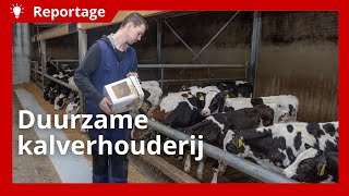 Duurzaam vleeskalveren grootbrengen met restproducten en eigen gewassen [upl. by Euqinamod]