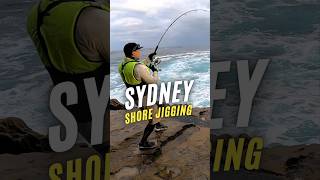 Shore jigging is the most effective method of rock fishing shorejigging rockfishing [upl. by Naziaf]