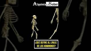 ¿Qué define al linaje de los homininos  Alquimia del Saber  Sh63 prehistoria historia [upl. by Calise]