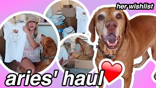 a special amazon haul for my dog [upl. by Senalda]