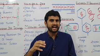 Ch23 Lec2 Cloning of Gene UrduHindi Lecture Fsc MDCAT NUMS Preparation By M Bilal Chaudhary [upl. by Darce]