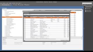 Tutorial Datanorm Kataloge importieren in der Lexware Warenwirtschaft 2013 [upl. by Ydnirb547]