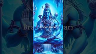 Brahma murari surarchita lingam🙏❤️ mind relaxing mantra 😌 shiva trending youtubeshorts [upl. by Herald]