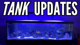 125 gallon saltwater reef tank update [upl. by Junius966]