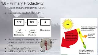 APES  18 Primary Productivity [upl. by Yeargain]