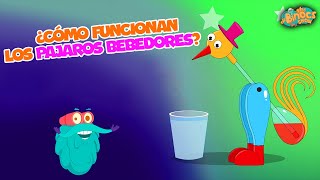 Cómo Funcionan Los Pajaros Bebedores  Conocimientos Generales  Documentales Para Niños  learn [upl. by Aissela]