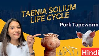 Pork Tapeworm  Taenia solinum Lifecycle  Tapeworm  Cysticercosis Hindi [upl. by Hatch]