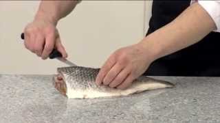 How to fillet a Grey Mullet  209 [upl. by Nyrrek]