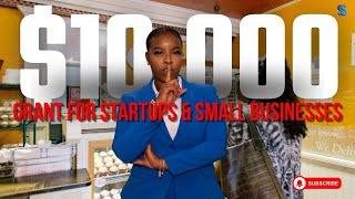 APPLY WITH ME 10000 Grant for small businesses Get a FREE LLC [upl. by Gay300]