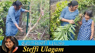 சூறாவளி புயல் in our Garden  Steffi Vlog in Tamil [upl. by Harley]