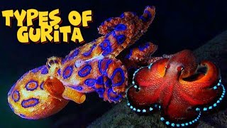 TOP 10 Octopus gurita cincin biru🐙🦑 [upl. by Nils]