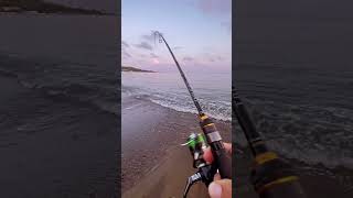 10GR Jig ile LRF Avı 🎣 fishing fishingvideo fish fishinglife lrf spiningfishing shimano [upl. by Astraea]