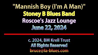 Stoney B Blues Band Mannish Boy Roscoes Jazz Lounge 6222024 [upl. by Ahiel]