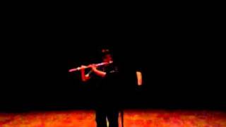 Youtube Symphony Orchestra Flute Jonathan Weiss [upl. by Hendrik]