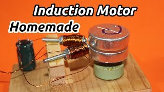 Make an AC Induction Motor [upl. by Nnodnarb]