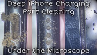 Satisfying iPhone charging port Cleaning under the Microscope  Deep Cleaning ASMR Video [upl. by Vescuso]