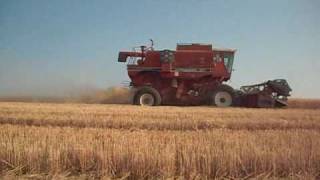 Wheat Harvest in Palouse Country  Tucker Farms [upl. by Geehan]