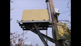 Outdoor Warning Siren Ambience  Willard Missouri [upl. by Aralk]