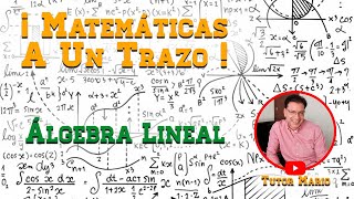 VECTORES LINEALMENTE DEPENDIENTES E INDEPENDIENTES CON GAUSSJORDÁN [upl. by Asihtal]