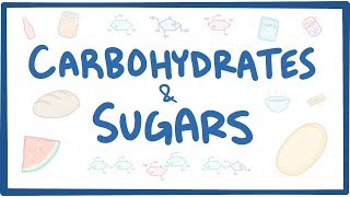 Carbohydrates amp sugars  biochemistry [upl. by Odlanor]