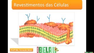 BIOLOGIA MAIS  Revestimento das células [upl. by Gaeta]