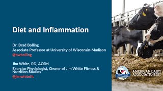 Diet and Inflammation A closer look at what the research shows [upl. by Zere]