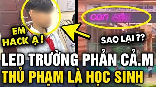 Nhiều BẢNG LED trường học ở Pleiku bị đổi thành NỘI DUNG BẬY thủ phạm là 1 HỌC SINH  Tin 3 Phút [upl. by Ecirehc40]