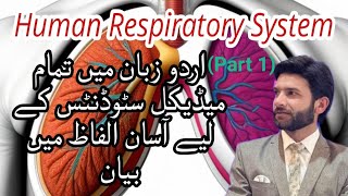 Anatomy and Physiology of Respiratory system in Urdu  step by step guide about respiratory system [upl. by Yecaj301]