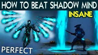 Shadow Fight 3 Defeat Shadow Mind with PERFECT on INSANE Tactics and Best Shadow Abilities [upl. by Suoicserp]