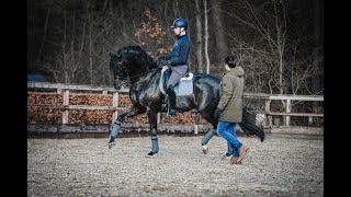 Masterclass Bart Veeze en Sebastian Heinze  Dressuur 202101 [upl. by Zailer]