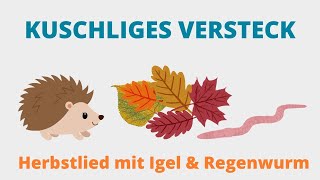 KUSCHLIGES VERSTECK  für Erzieher mit Igel amp Regenwurm winterschlaf herbst [upl. by Ennovad]